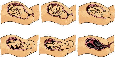 seis dibujos en color de nacimiento de bebé