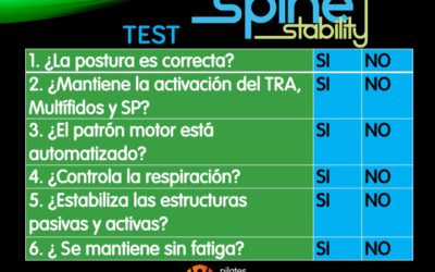 TEST SPINE STABILITY